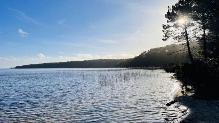 Les environs du camping GCA, aire naturelle de camping en Gironde : lac d'Hourtin