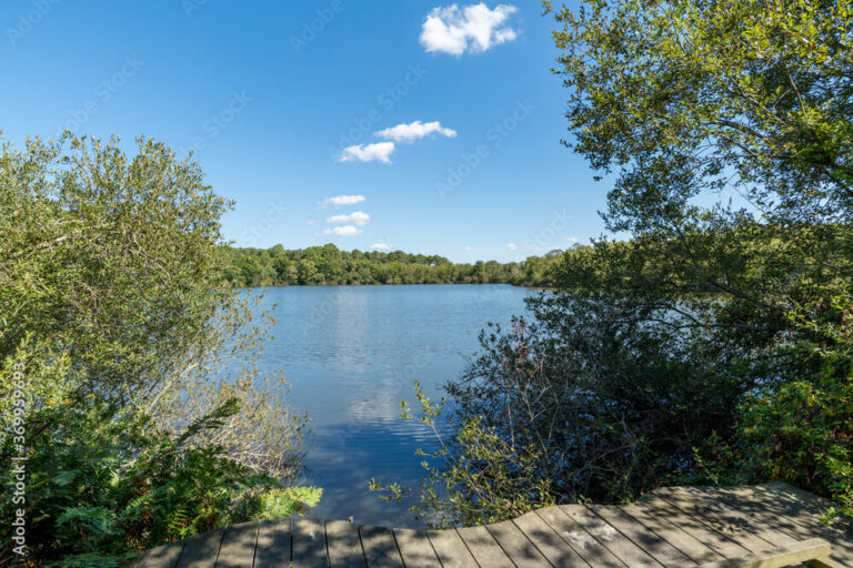 La lagune de Contaut : un joyau naturel à découvrir lors de vos vacances en Gironde, au camping GCA, aire naturelle de camping près d'Hourtin