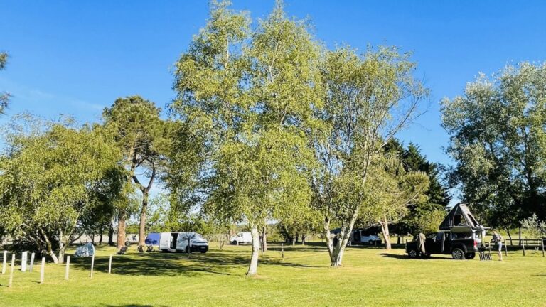 Emplacements spacieux de l'aire naturelle de camping en Gironde, GCA