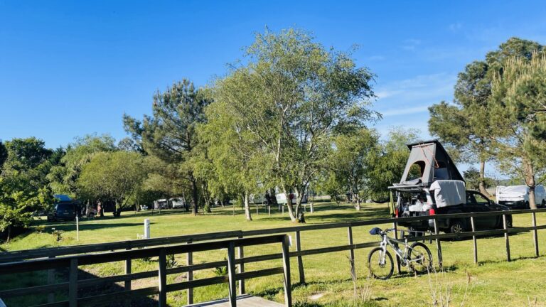 Séjournez en pleine nature au camping GCA, aire naturelle de camping en Gironde