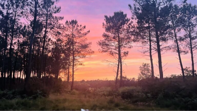 Un séjour en camping en Gironde, authentique en pleine nature