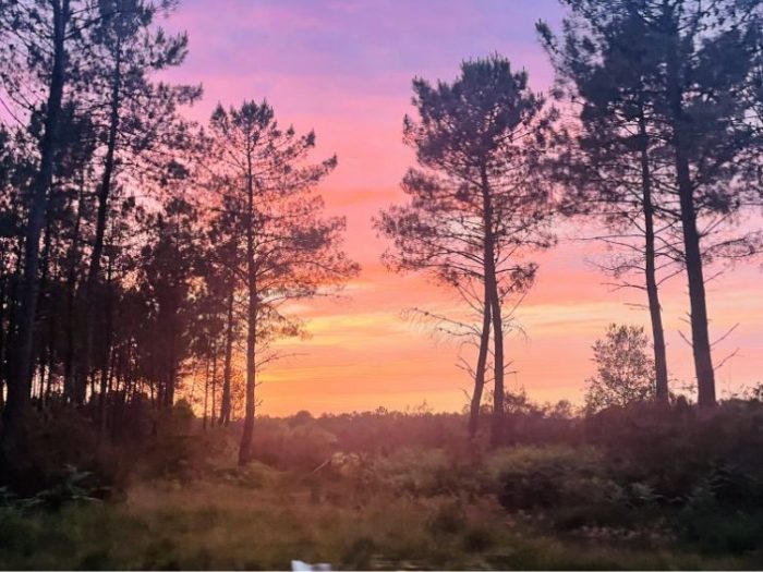 Un séjour en camping en Gironde, authentique en pleine nature